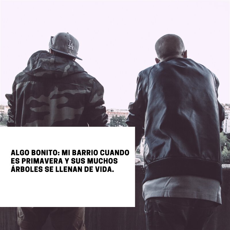 Frases callejeras-opt